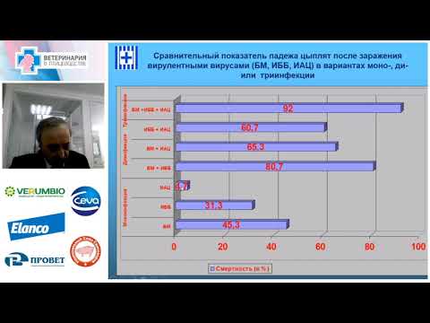 Видео: Эдуард Джавадов. Прогрессивные методы вакцинопрофилактики в промышленном птицеводстве