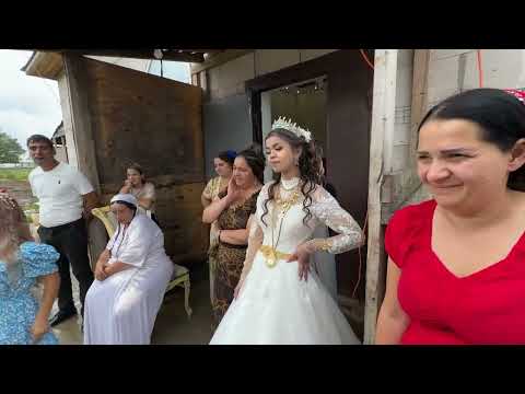 Видео: Ловарка Милуш Клин Зубово