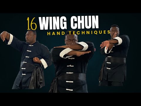 Видео: 16 техник рук Вин Чун #винчунь #кунгфу #боевыеискусства