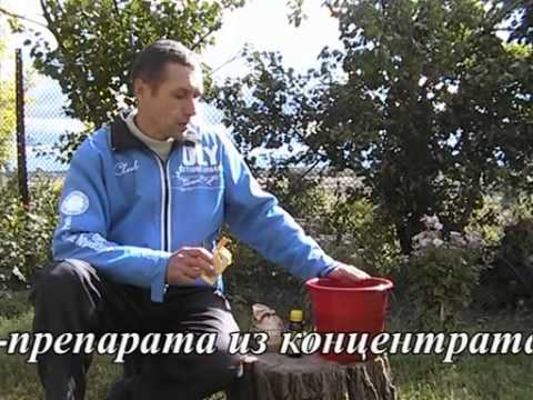 Видео: Байкал ЭМ 1