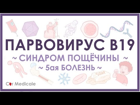 Видео: Парвовирус - симптомы, диагностика, лечение