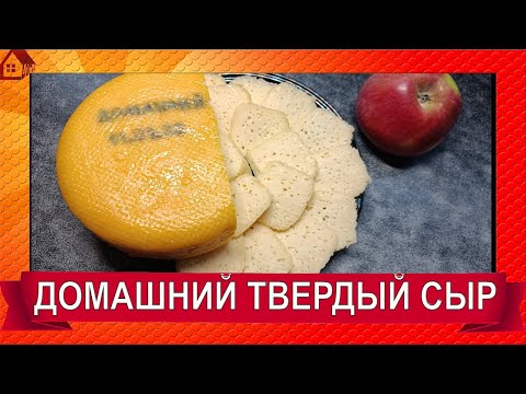 Видео: Домашний твердый СЫР на закваске* Рецепт* Дегустация/ Homemade hard CHEESE