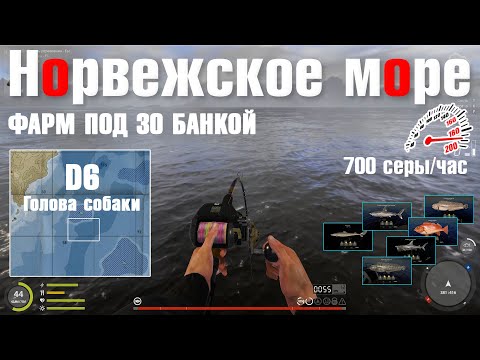 Видео: Фарм под 30 банкой • Работающие приманки • Норвежское Море • Русская Рыбалка 4