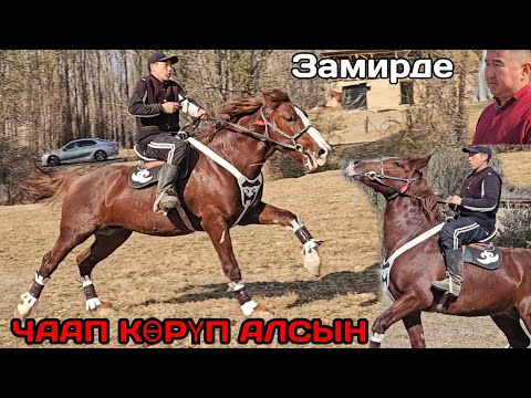 Видео: 12 ноября 2025 г.