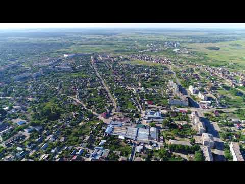 Видео: сарни