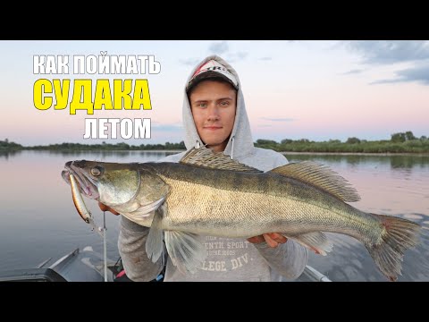 Видео: Рыбы РВУТ Спиннинг из Рук! Рыбалка на ТРОФЕЙНОГО СУДАКА!!! (РОЗЫГРЫШ Приманок)