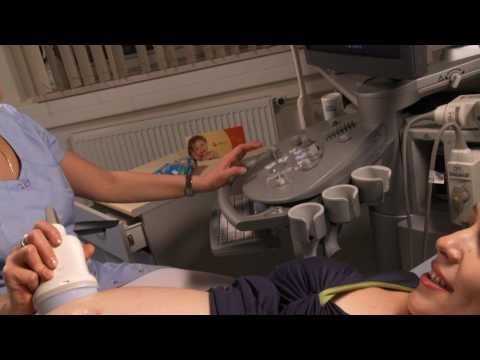 Видео: Видеогид. 29 неделя. Сбор и хранение пуповинной крови