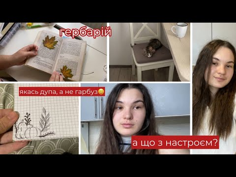 Видео: VLOG Коли це закінчиться? Листочки для гербарію.