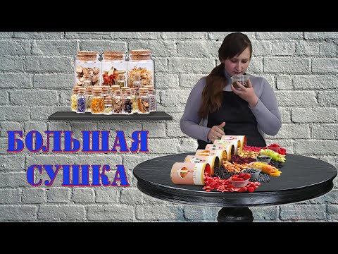 Видео: Большая СУШКА. Сушим ВСЁ!!!. Как мы сушим и храним овощи, фрукты, зелень, ягоды.