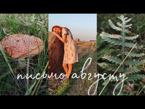 Видео: тёплый влог | много прогулок и закатного солнца. здравствуй, осень 🌾