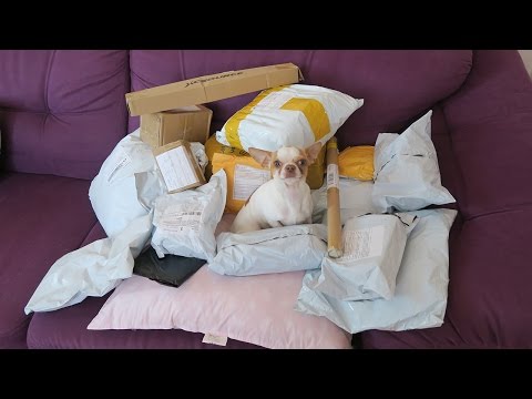 Видео: КУЧА посылок из Китая! От куда ДЕНЬГИ на посылки? 200 000 подписчиков! КОНКУРС!