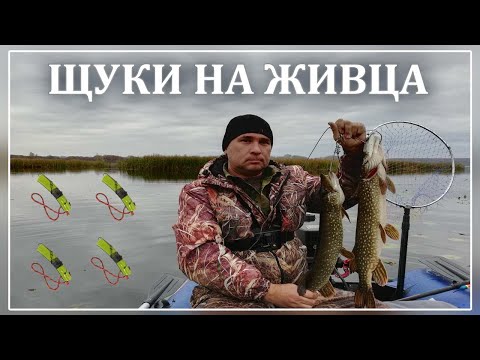 Видео: Ловля щуки.  Щука на живца. Щука на поставушки.