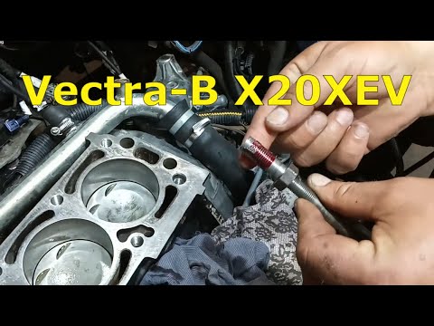 Видео: Vectra-B X20XEV. Гужоны