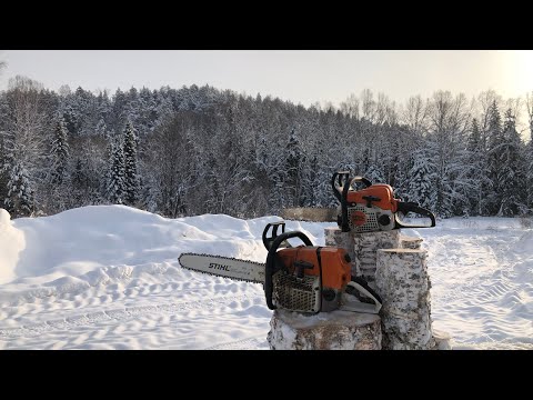 Видео: ЗАГОТОВКА ДРОВ в деревне 2022/ЛЕС/ЗИМА/СИБИРЬ