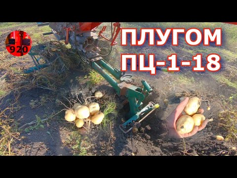 Видео: ПЛУГОМ ПЦ-1-18 можно  копать картофель очень быстро