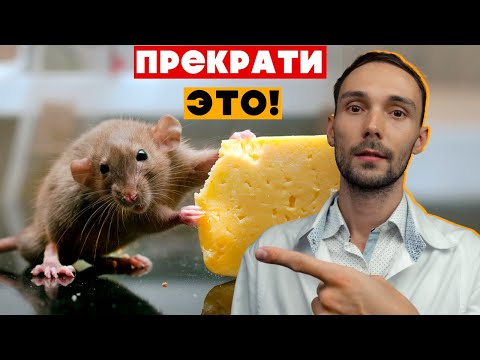 Видео: 15 вещей, которые НЕНАВИДЯТ домашние крысы | Ветеринар о главных ошибках владельцев
