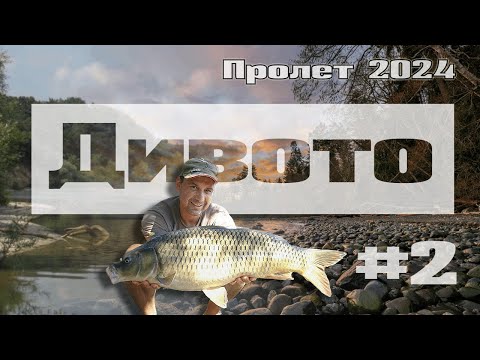 Видео: Риболов на шаран: Изненадата (2024)