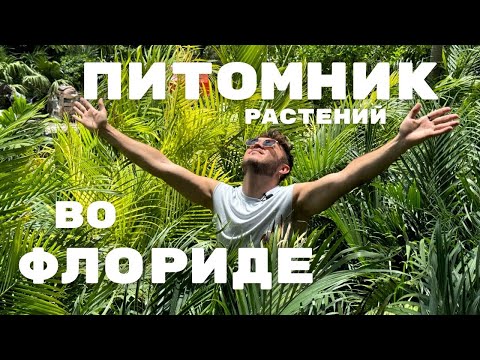 Видео: ПРОГУЛКА по ПИТОМНИКУ растений во ФЛОРИДЕ