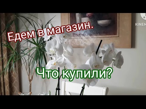 Видео: VLOG ЧТО КУПИЛА? СКОЛЬКО СТОИТ? ВСЕ ЗДЕСЬ / WHAT DID YOU BOUGHT? WHAT IS THE PRICE?  #vlogs