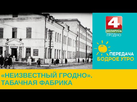 Видео: Бодрое утро. "Неизвестный Гродно". Табачная фабрика. 22.06.2023