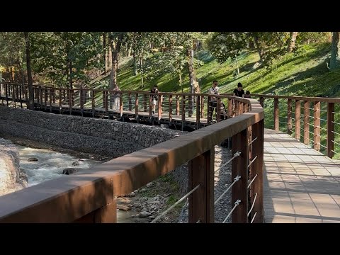 Видео: Путешествие по Терренкуру!!! #нечтоинтересное #нечтоотдых #нечтовыхи #выходные #алматы