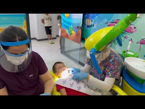 Видео: Наш первый визит к стоматологу | Рекомендации детского врача