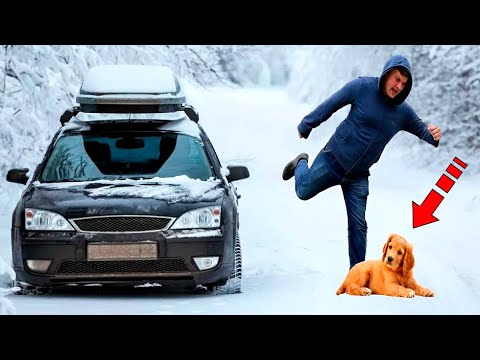 Видео: Хозяин выбросил щенка на мороз и уехал. Но дальше произошло невероятное!