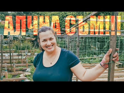 Видео: Живот на село: Завършихме повдигатите лехи
