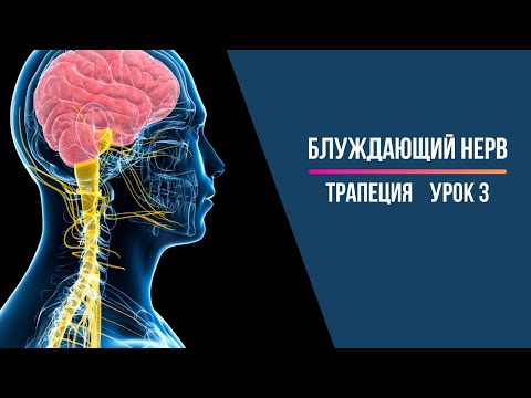 Видео: Блуждающий нерв Активация