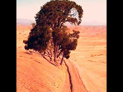 Видео: ФЕЛИКС ЗИГЕЛЬБАУМ: АВТОРСКАЯ ПЕСНЯ "СТЕКЛО".