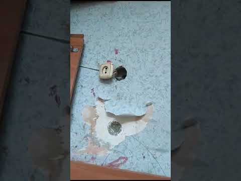 Видео: Квартира после квартирантов.