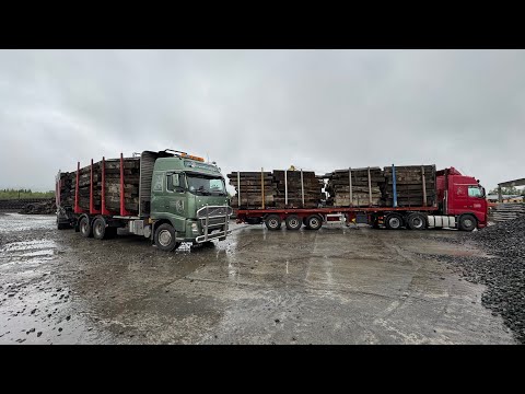 Видео: Рейс в Кировск поехали за шпалами. Забрали сколько смогли #moisei #automobile #volvo #дальнобой