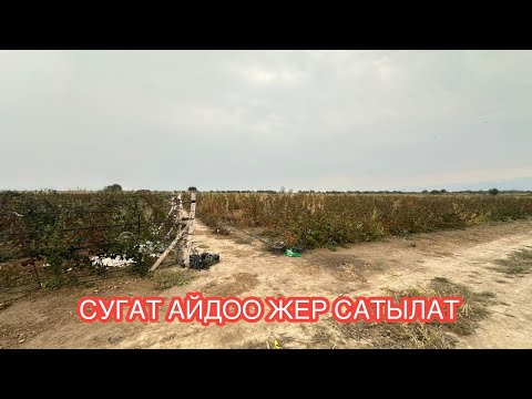 Видео: АЙДОО ЖЕР САТЫЛАТ ОЗЁРНОЕ 2024