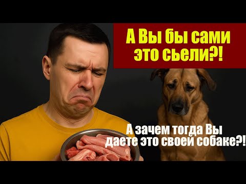 Видео: Что скрывается в мясных наборах для собак и кошек «Натуральное питание» или пищевая помойка?