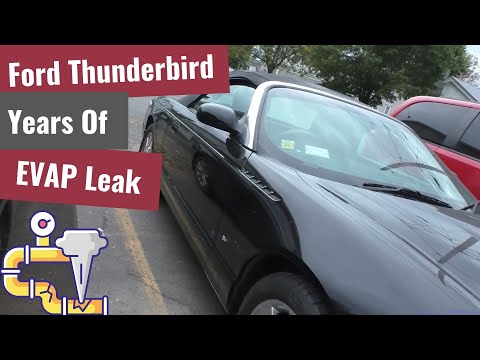 Видео: Устранение стойкой утечки EVAP на Ford Thunderbird! Годы с крышками бензобака и безрезультатным р...