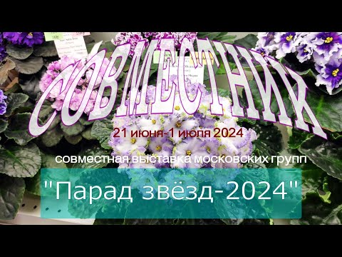 Видео: Совместная выставка узамбарских фиалок московских групп в Доме Фиалки "Парад звёзд-2024"