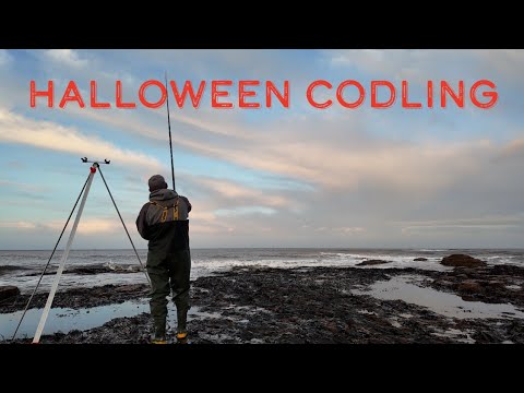 Видео: Хэллоуин Кодлинг