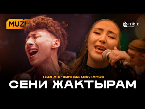 Видео: Тамга – Сени жактырам | LIVE MUZLAB | Чынгыз Султанов
