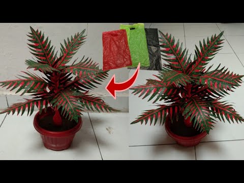 Видео: Как сделать красную пальму из полиэтиленового пакета | пластиковые цветочные поделки