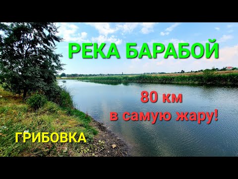 Видео: Река Барабой. Санжейское водохранилище. Грибовка. Леонидово. Рыбалка. Море. Краеведение. #зоотроп