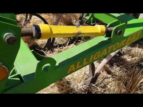 Видео: Аллигатор 2,5 проба сеять в стерню