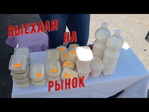 Видео: Первый раз на рынке.Рынок сбыта.Коровы прибавляют молоко