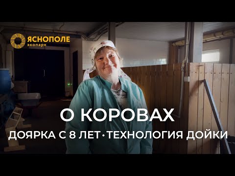 Видео: Интервью доярки экофермы "Ясно Поле" | ВСЮ ЖИЗНЬ НА ФЕРМЕ, О КОРОВАХ И ТЕХНОЛОГИИ ДОЙКИ