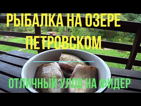 Видео: Рыбалка на озере Петровском. Отличный улов! Fishing on lake Petrovskoe #рыбалка #fishing #фидер