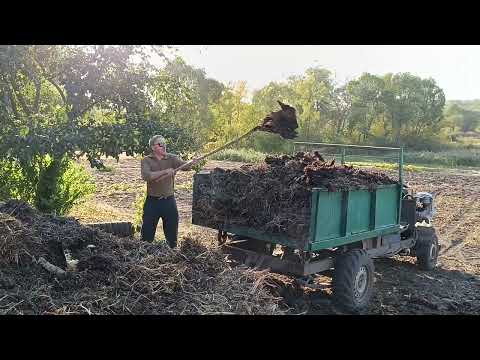 Видео: Создаем основу под будущий урожай! Возим навоз самодельным грузовиком!