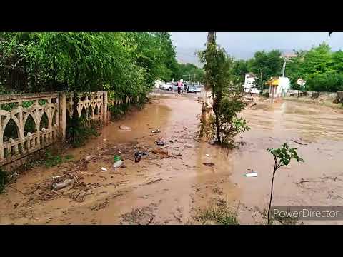 Видео: 26 мая 2021 г.