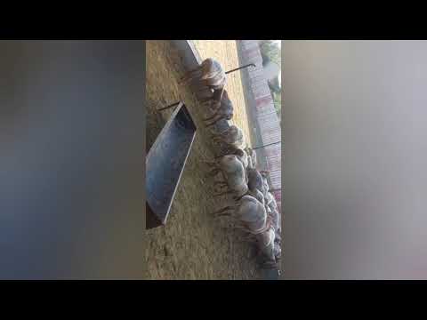 Видео: 3 ноября 2025 г.