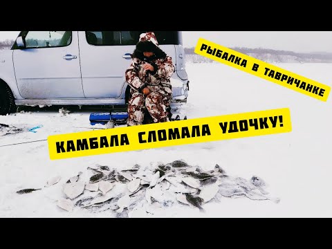 Видео: Камбала сломала удочку!Рыбалка в Тавричанке.