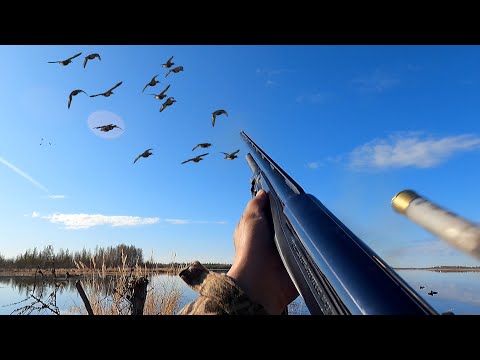 Видео: Benelli Vinci на охоте на Колыме в Якутии. 1 часть