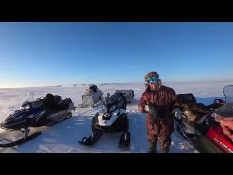 Видео: Легенды Арктики 2017